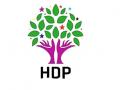 HDP, AKP, çözüm süreci, Kürt