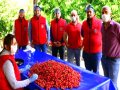 İzmir’de imece günleri  