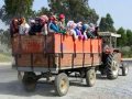 dünyadaki tarım işlerinin yüzde 25’ten fazlasını göçmenler yapıyor