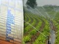 elektrikte özelleştirme çiftçiyi aç bıraktı