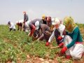 Çiftçinin borçları silinsin