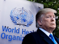 trump dünya sağlık örgütü (who) tabelası önünde 