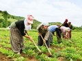 çiftçinin borcu büyüyor