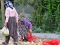 açlık sınırı 18 yılda 6 kat arttı   