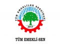 emekliler insanca maaş insanca yaşam için tüm yurtta alanlara çıktı 