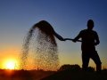 çiftçinin yarısı çiftçilikten geçinmiyor