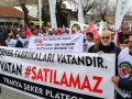 türkşeker zararda 