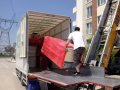 salgın kıyı şehirlerine göçü artırdı