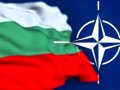 bulgaristan ilave nato güçlerine gerek yok 