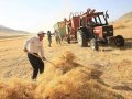Tarımsal destek fayda etmedi, çiftçi borç batağında!