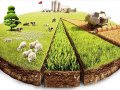 Üreticiler üretimden kaçıyor