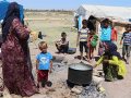 Mevsimlik işçiler: "Bitmeyen sömürü"