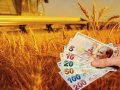 Tarımsal girdi fiyatları artışı sürüyor