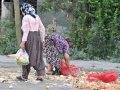 Emekçiler açlığa mahkûm