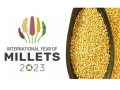 BM 2023 Uluslararası Darı Yılı