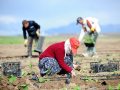 Üretici fiyatlarında yılık artış yüzde 72