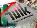 TÜİK: Yıllık enflasyon 38,21