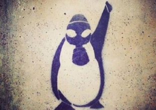 medya, mezuniyet, istanbul üniversitesi, penguen, iletişim