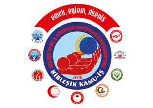 birleşik kamu iş