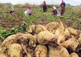 melas ithalatında vergi sıfırlandı