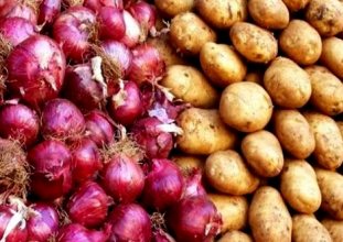 Patates ve soğan ihracatında ön iz in kararı
