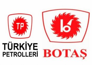 TPAO ve BOTAŞ özelleştirilecek mi 