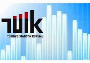sayıştay tüik hesapları hatalı 