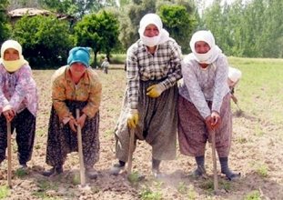 vergi ve SGK yapılandırma paketinde çiftçi borçlarına yer yok 