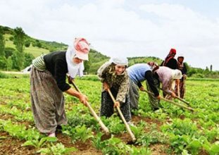 çiftçinin borcu büyüyor