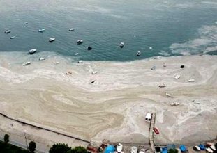 çevre mühendislerinden YÖK’ün müsilaj bildirgesine tepki  