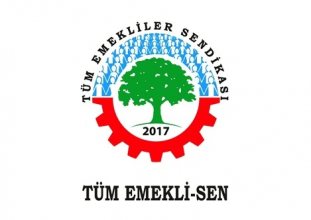 emekliler insanca maaş insanca yaşam için tüm yurtta alanlara çıktı 