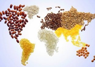 küresel gıda fiyatları son 10 yılın zirvesinde 