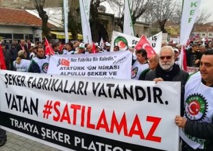 türkşeker zararda 