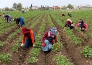 tarımda üretici enflasyonu 34 ayın zirvesinde 