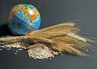 Küresel gıda fiyatlarında yüksek artış devam edecek
