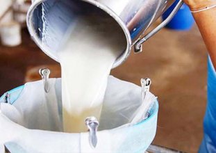 Süt maliyeti hesabı üreticinin tepkisini çekti