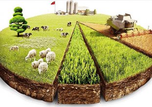 Üreticiler üretimden kaçıyor