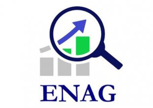 ENAG: Enflasyon yüze 123.8