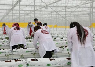 Şekere sessiz sedasız zam!