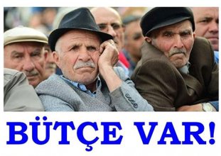 Birlik Dayanışmacı Emekliler: ‘Bütçe Var’