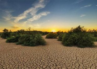 Dünya topraklarında bozulma artıyor