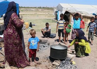 Mevsimlik işçiler: "Bitmeyen sömürü"