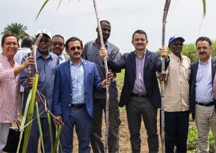 Sudan’da tarım ne oldu?