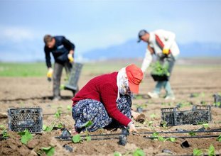 Üretici fiyatlarında yılık artış yüzde 72