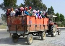 dünyadaki tarım işlerinin yüzde 25’ten fazlasını göçmenler yapıyor