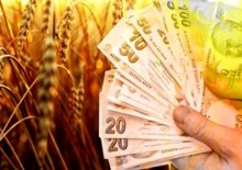 icralık çiftçi sayısı da ticari sır oldu