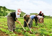 çiftçinin borcu büyüyor