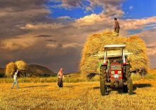 çiftçilerin toplam borcu 205 milyar lirayı aştı 