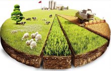 Üreticiler üretimden kaçıyor