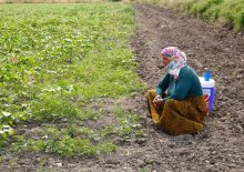 Tarımda maliyetler zirve yaptı